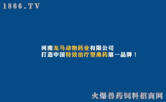 健康无残留 龙马药业分享中药治疗猪大肠杆菌腹泻的兽药制剂方案
